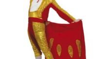 DISFRAZ TORERO ADULTO