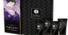 Kit Shunga Naughty Geisha
