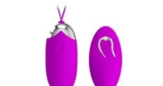 Huevo Vibrador Recargable con Mando