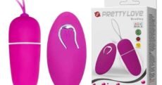 Mini Huevo Vibrador con Mando
